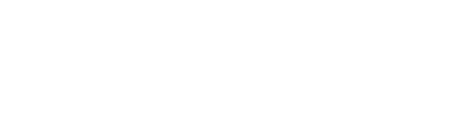 Logo LSB Digital